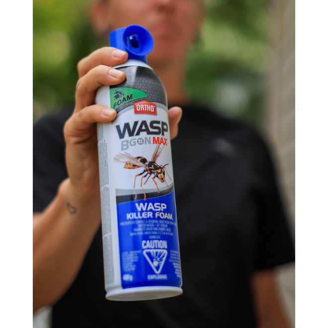 Ortho Wasp BGon Max 400-g Wasp Killer Foam