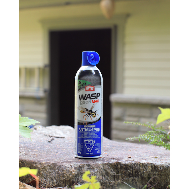 Insecticide en mousse antiguêpes Wasp BGon Max par Ortho, 400 g