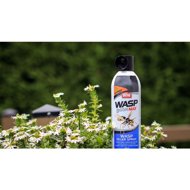 Ortho Wasp BGon Max 400-g Wasp Killer Spray