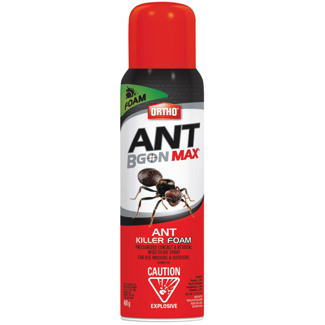 Image of Ortho | Ant Bgon Max 400-G Ant Killer Foam Bottle | Rona