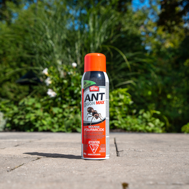 Insecticide en mousse pour fourmis Ant BGon Max par Ortho 400 g