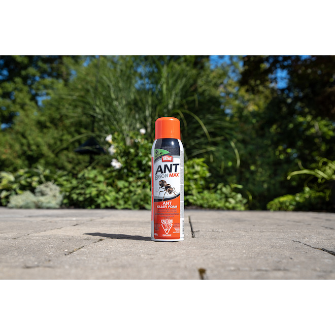 Ortho Ant BGon Max 400-g Ant Killer Foam Bottle