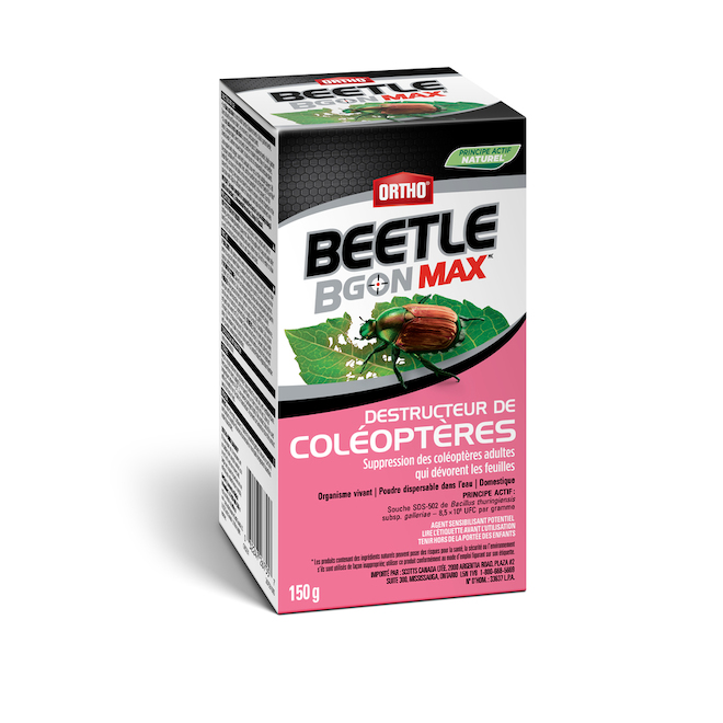 Insecticide pour coléoptères Ortho BGon Max en format de 150 g