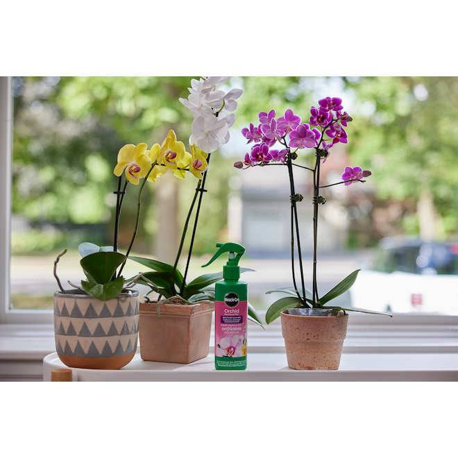 Miracle-Gro Orchid Plant Food Mist Fertilizer - Ready-To-Use - 236 ml