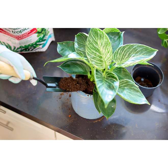 Miracle-Gro Tropical Potting Mix with Lava Rock - 8.8-L