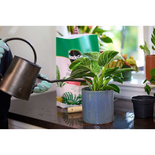 Miracle-Gro Tropical Potting Mix with Lava Rock - 8.8-L