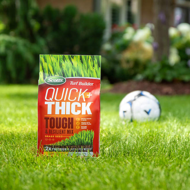 Semence à gazon mélange Robuste et Résistant Quick + Thick Turf Builder de Scotts, 1,2 kg