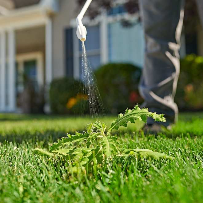 Ortho Killex Liquid Weed Control with Application Wand - 4 L