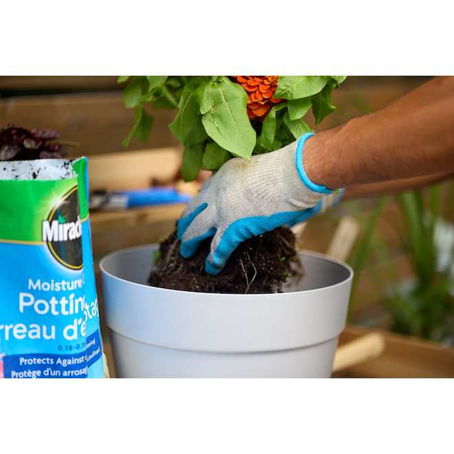 Miracle-Gro Moisture Control Potting Mix - 50 L