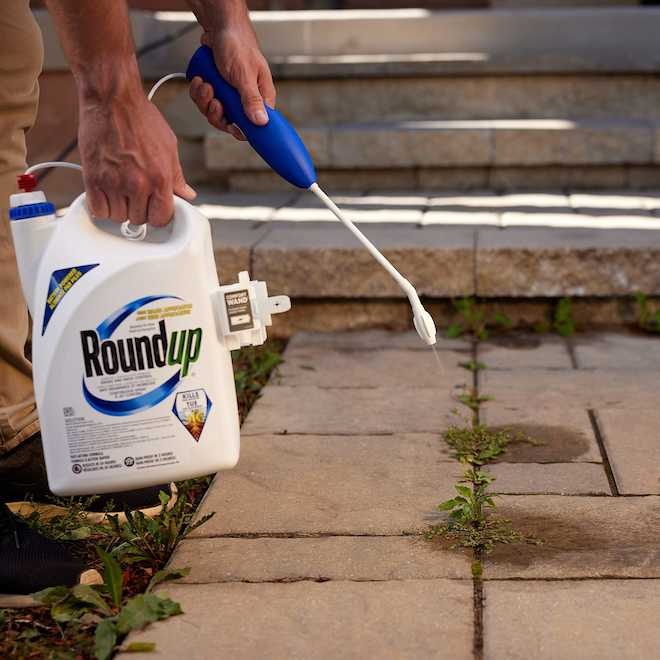 Roundup Liquid Grass and Weed Control with Wand Applicator - 4 L