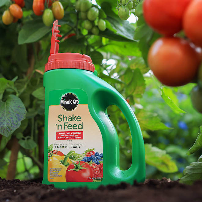 Engrais Shake 'n Feed Miracle-Gro pour tomates, fruits et légumes, 2 kg