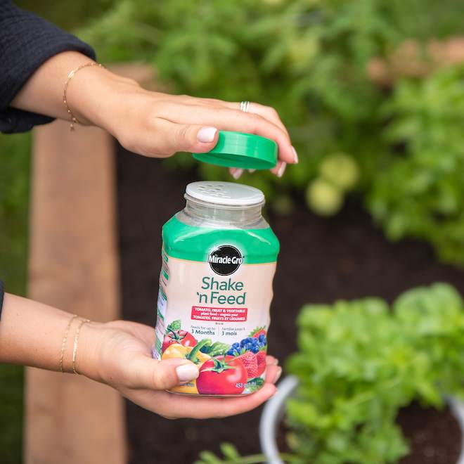 Engrais Shake 'n Feed Miracle-Gro pour tomates, fruits et légumes, 453 g