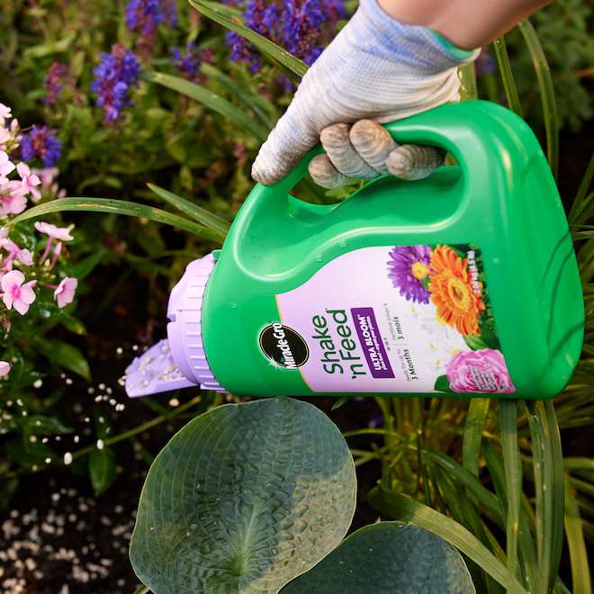 Engrais Shake 'n Feed Miracle-Gro pour plantes Ultra Bloom, 2,04 kg