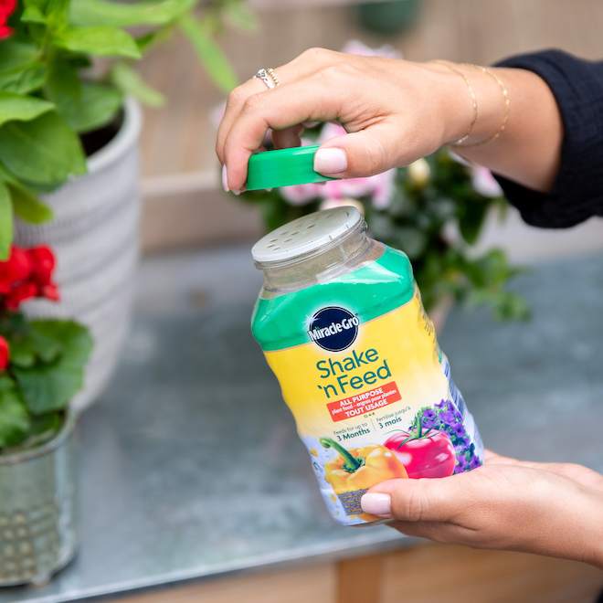 Engrais Shake 'n Feed Miracle-Gro pour plantes tout usage, 453 g