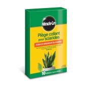 Piège collant pour sciarides par Miracle-Gro, 10/pqt
