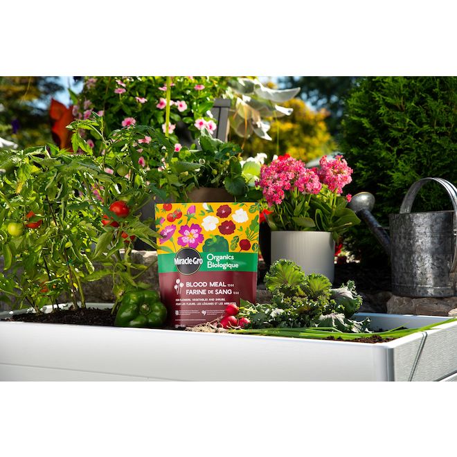 Miracle-Gro Organic All-Purpose Meal Blood - 1.36-kg