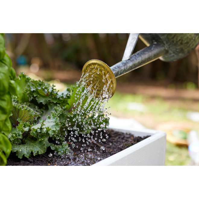 Miracle-Gro Organic All-Purpose Meal Blood - 1.36-kg