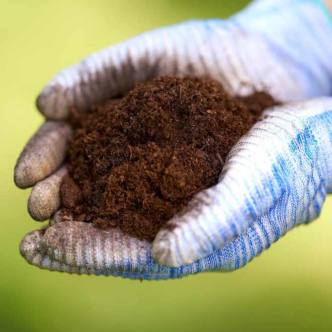 MiracleGro Sphagnum Peat Moss Enriched Canadian - 50-L