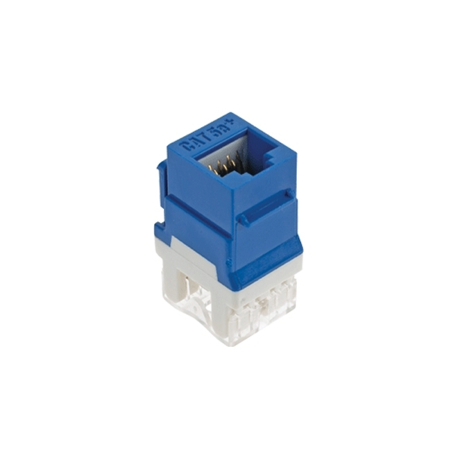 On-Q/Legrand Blue RJ-45 CAT-5E Insert