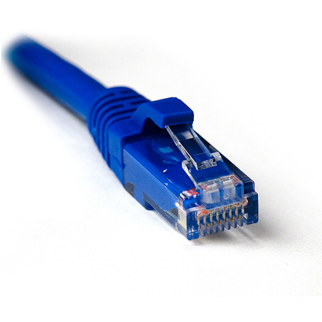 Câble réseau Ethernet plat Cat 6 RCA, 50 pi