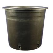 Vaserie P.L.P. Grower Pot - Plastique - 6.3-in - Black