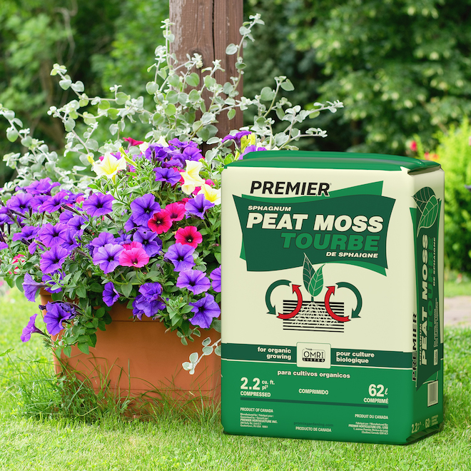 Premier 62-L Sphagnum Peat Moss - 2.2-ft³ Compressed