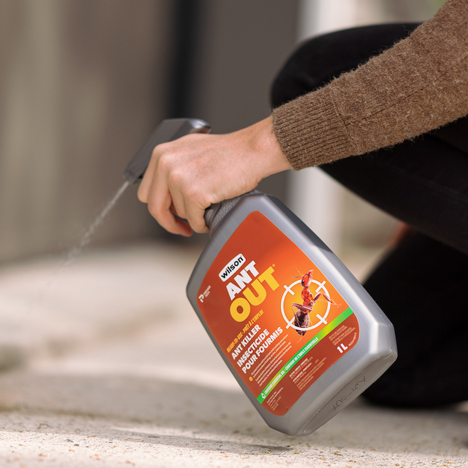 Wilson Ant Out 1-L Spray Ant Killer Ready-to-Use Insecticide