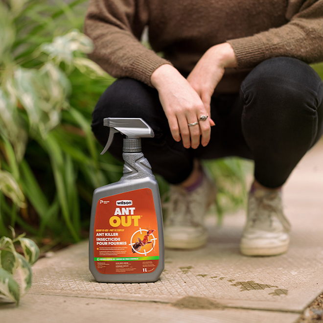 Wilson Ant Out 1-L Spray Ant Killer Ready-to-Use Insecticide