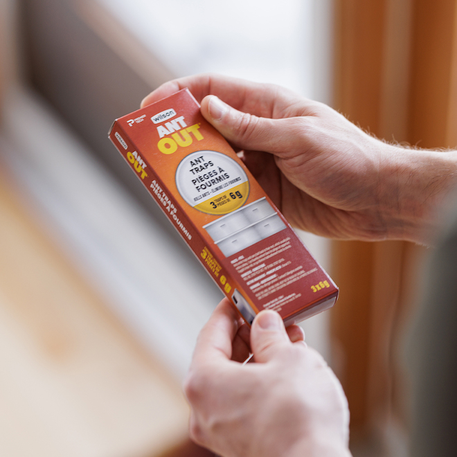 Wilson Ant Out Ready to Use Ant Traps - 3 x 6-g Pack