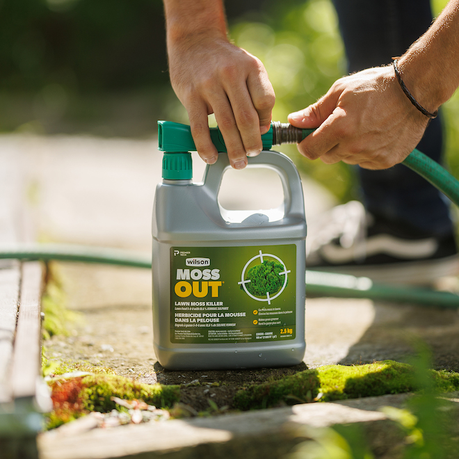 Wilson Moss Out 2.5-kg Lawn Herbicide with 5-0-0 Lawn Fertilizer