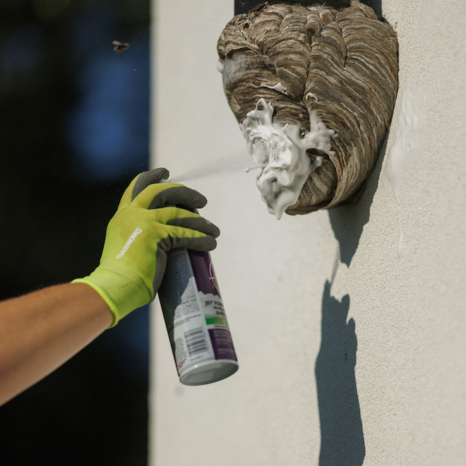 Wilson Wasp Out 450-g Wasp and Hornet Killer Jet foam Insecticide