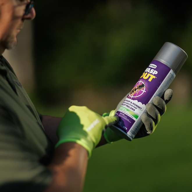 Wilson Wasp Out 450-g Wasp and Hornet Killer Jet foam Insecticide