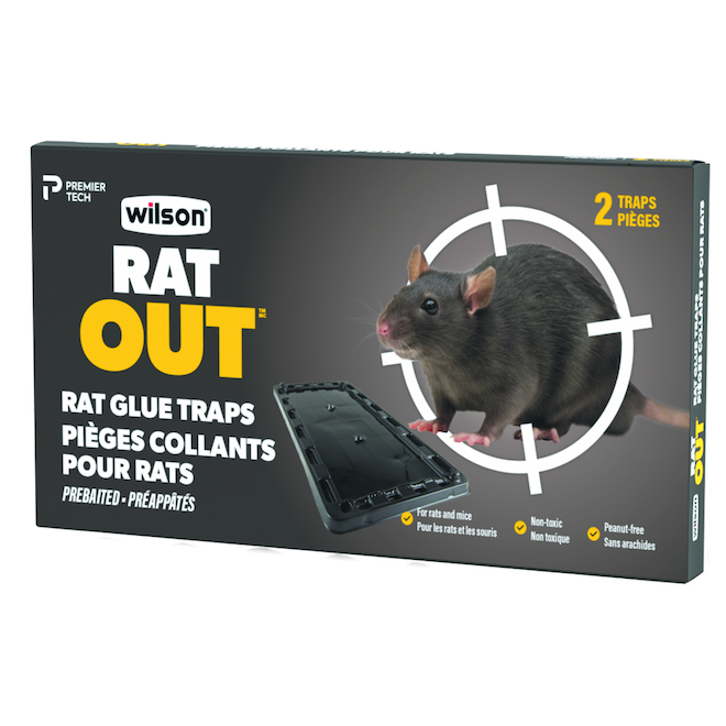 Wilson Rats and Mice Glue Traps - 2/Pack