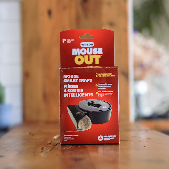 Wilson Mouse Out Smart Ready to Use Mouse Traps - 2/Pack