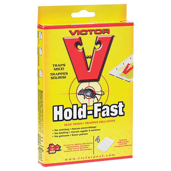 VICTOR Piège à souris collant «Hold Fast» - Paquet de 4. M772TRI