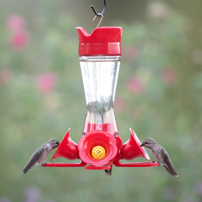 Shrdaepe Mangeoire pour colibri, mangeoire en verre pour oiseaux, 5 ports  d'alimentation (rouge et jaune) : : Terrasse et Jardin