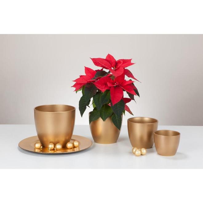 Marsolais Cover Pot Gold 16 cm Ceramic (1)