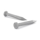 Reliable Fasteners Fluted Concrete Nails - 2-in L - Galvanized Steel - 100 Per Pack
