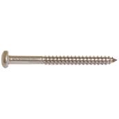 Pan-Head Stainless Steel Screws - #10 x 2