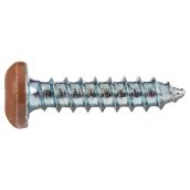 Reliable Fasteners Pan Head Metal Screws - Chocolate Brown - 100 Per Pack - #6 x 5/8-in