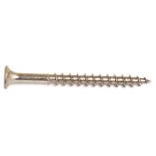 Reliable Fasteners Treated Wood Deck Screws - Stainless Steel - Bugle Head - #8 x 2 1/2-in - 100-Pack