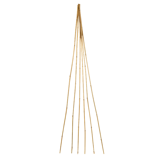 Quest Bamboo Stakes 6 Natural 6 Pack Rona