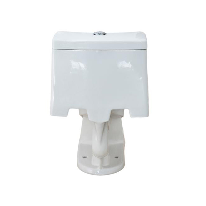 Elongated Front 1-Piece Toilet, 3,8 L/6 L, White