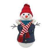 Bonhomme de neige, 16