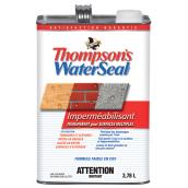 Imperméabilisant WaterSeal par Thompson's, multisurfaces, transparent, 3,78 L