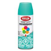 Peinture Intérieur/Extérieur «Colormaster»
