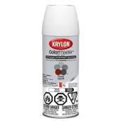 Peinture et apprêt ColorMaster(MC), blanc