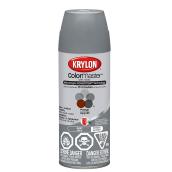 Peinture et apprêt ColorMaster(MC), gris