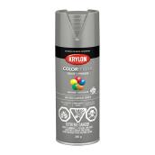 COLORmaxx Paint and Primer - Aerosol - 340 g - Classic Grey