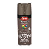 COLORmaxx Paint and Primer - Aerosol - 340 g - Equestrian